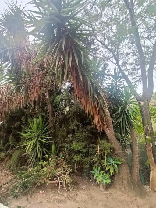 Casa Rural En El Campo Con Animales, Piscina Y Barbacoa Almodóvar del Río Exterior foto