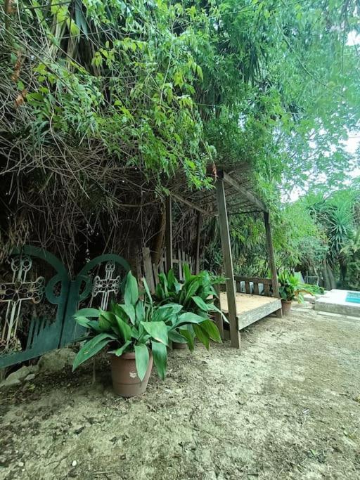 Casa Rural En El Campo Con Animales, Piscina Y Barbacoa Almodóvar del Río Exterior foto