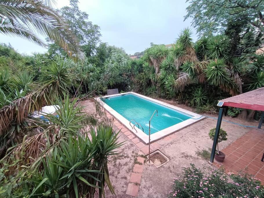 Casa Rural En El Campo Con Animales, Piscina Y Barbacoa Almodóvar del Río Exterior foto