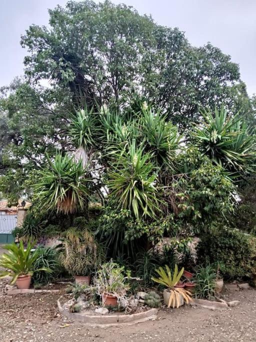 Casa Rural En El Campo Con Animales, Piscina Y Barbacoa Almodóvar del Río Exterior foto